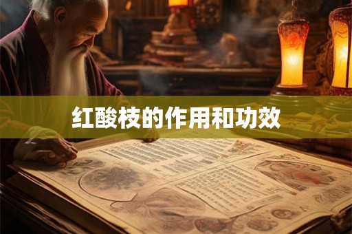 红酸枝的作用和功效