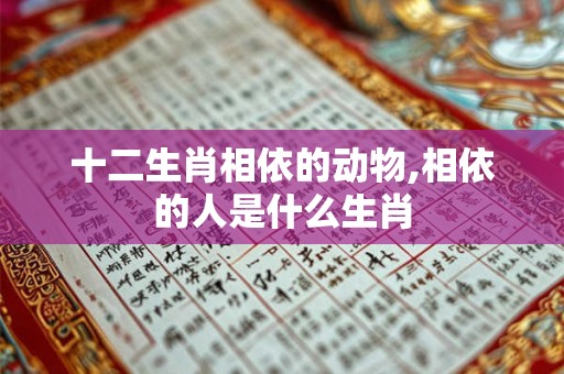 十二生肖相依的动物,相依的人是什么生肖