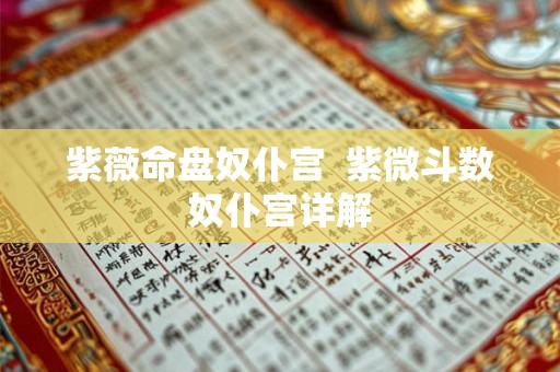 紫薇命盘奴仆宫  紫微斗数奴仆宫详解
