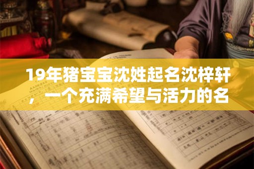19年猪宝宝沈姓起名沈梓轩，一个充满希望与活力的名字