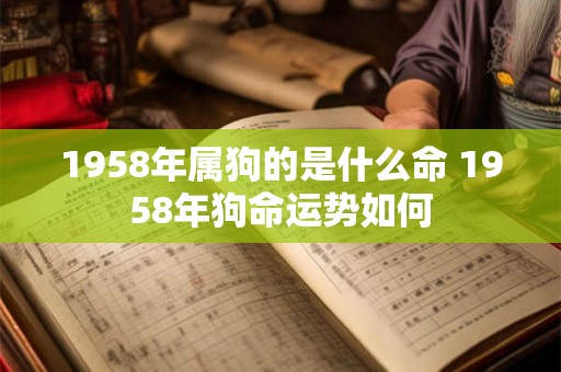 1958年属狗的是什么命 1958年狗命运势如何