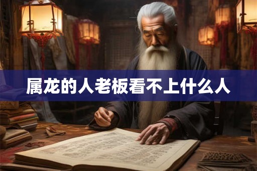属龙的人老板看不上什么人