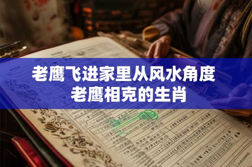老鹰飞进家里从风水角度  老鹰相克的生肖