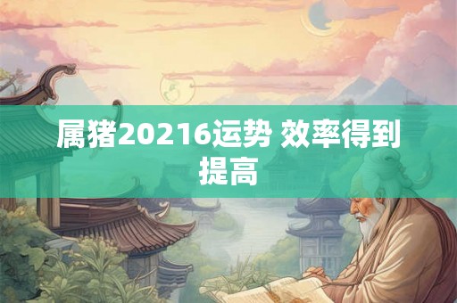 属猪20216运势 效率得到提高