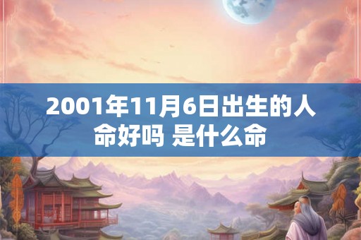 2001年11月6日出生的人命好吗 是什么命