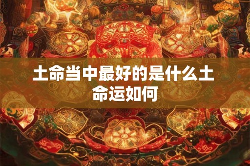 土命当中最好的是什么土 命运如何