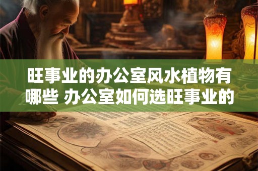 旺事业的办公室风水植物有哪些 办公室如何选旺事业的风水植物