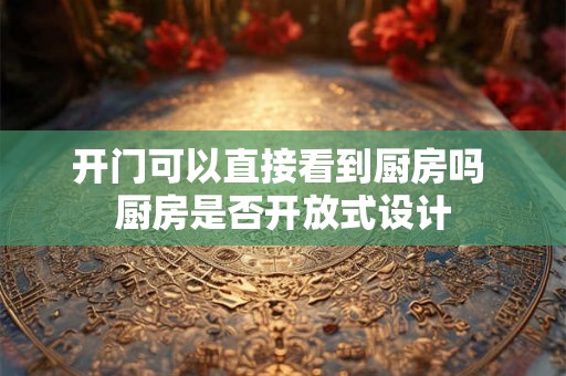 开门可以直接看到厨房吗 厨房是否开放式设计