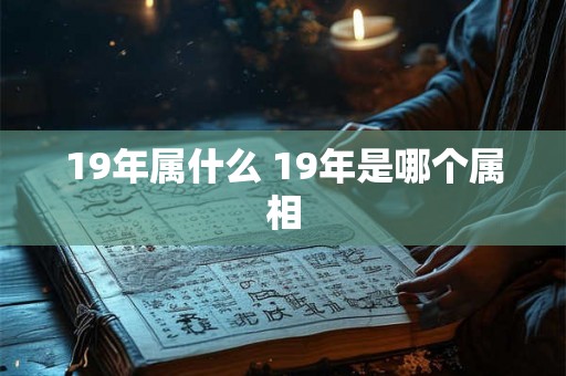 19年属什么 19年是哪个属相