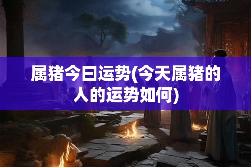 属猪今曰运势(今天属猪的人的运势如何) 属猪今曰运势(今天属猪的人的运势如何)