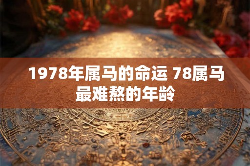 1978年属马的命运 78属马最难熬的年龄 1978年属马的命运 78属马最难熬的年龄