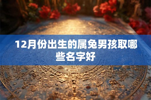 12月份出生的属兔男孩取哪些名字好