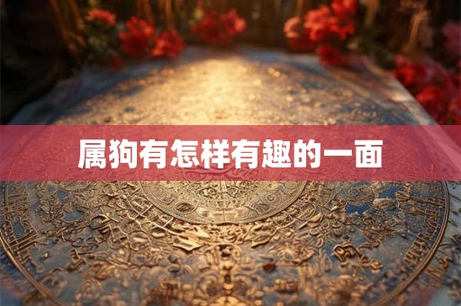 属狗有怎样有趣的一面