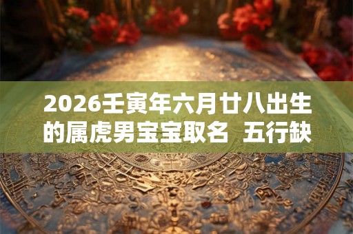 2026壬寅年六月廿八出生的属虎男宝宝取名  五行缺啥