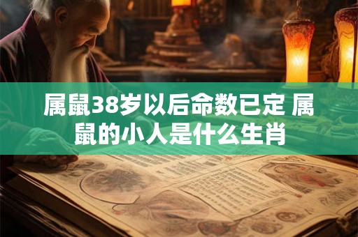 属鼠38岁以后命数已定 属鼠的小人是什么生肖 属鼠38岁以后命数已定 属鼠的小人是什么生肖