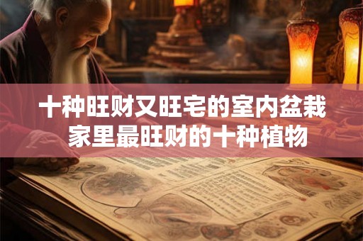 十种旺财又旺宅的室内盆栽 家里最旺财的十种植物 十种旺财又旺宅的室内盆栽 家里最旺财的十种植物