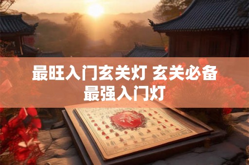 最旺入门玄关灯 玄关必备最强入门灯