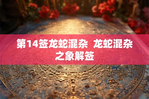 第14签龙蛇混杂  龙蛇混杂之象解签