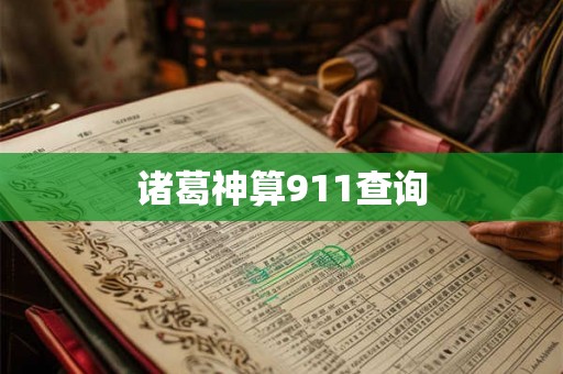 诸葛神算911查询