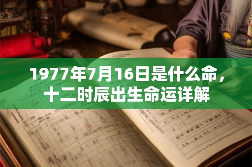 1977年7月16日是什么命，十二时辰出生命运详解