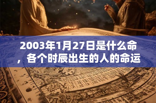2003年1月27日是什么命，各个时辰出生的人的命运