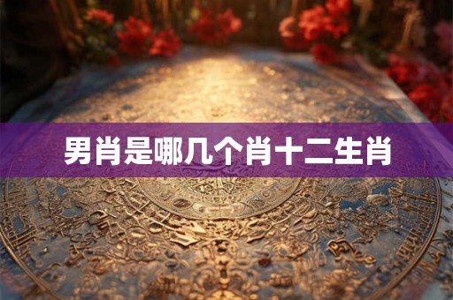 男肖是哪几个肖十二生肖