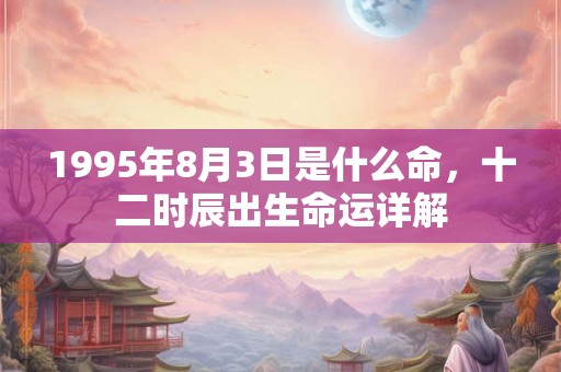 1995年8月3日是什么命，十二时辰出生命运详解