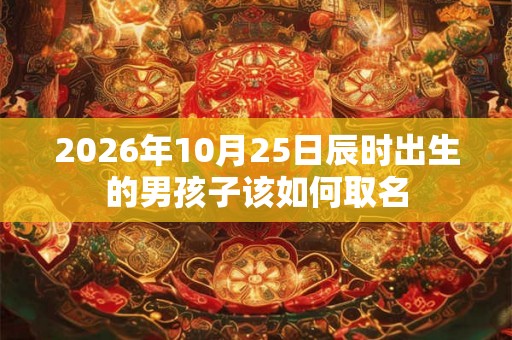 2026年10月25日辰时出生的男孩子该如何取名