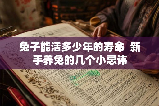 兔子能活多少年的寿命  新手养兔的几个小忌讳