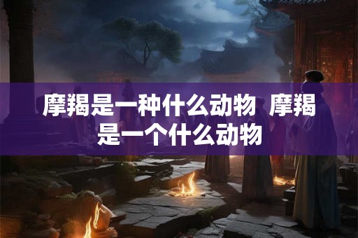摩羯是一种什么动物  摩羯是一个什么动物