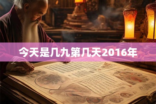 今天是几九第几天2016年