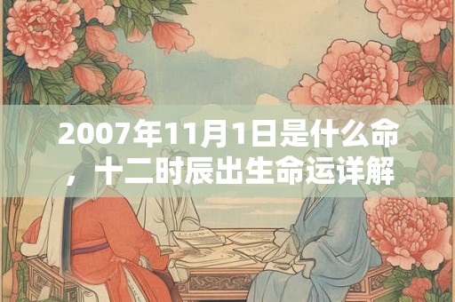 2007年11月1日是什么命，十二时辰出生命运详解