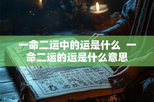 一命二运中的运是什么  一命二运的运是什么意思