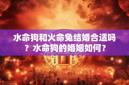 水命狗和火命兔结婚合适吗？水命狗的婚姻如何？
