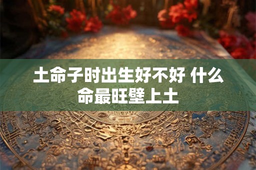 土命子时出生好不好 什么命最旺壁上土