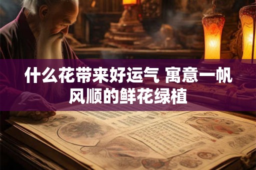 什么花带来好运气 寓意一帆风顺的鲜花绿植