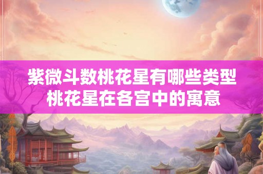紫微斗数桃花星有哪些类型 桃花星在各宫中的寓意