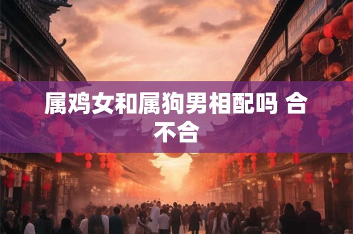 属鸡女和属狗男相配吗 合不合