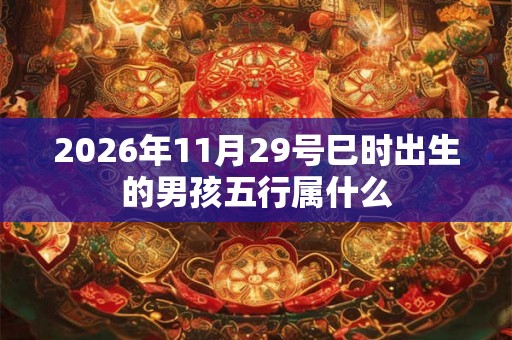 2026年11月29号巳时出生的男孩五行属什么 2026年11月29号巳时出生的男孩五行属什么