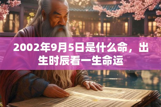 2002年9月5日是什么命，出生时辰看一生命运