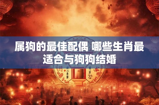 属狗的最佳配偶 哪些生肖最适合与狗狗结婚 属狗的最佳配偶 哪些生肖最适合与狗狗结婚