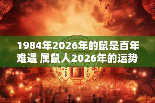 1984年2026年的鼠是百年难遇 属鼠人2026年的运势 1984年2026年的鼠是百年难遇 属鼠人2026年的运势