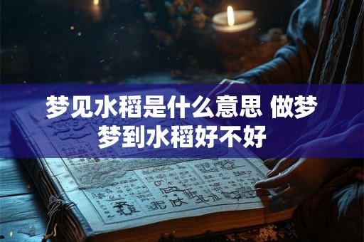 梦见水稻是什么意思 做梦梦到水稻好不好
