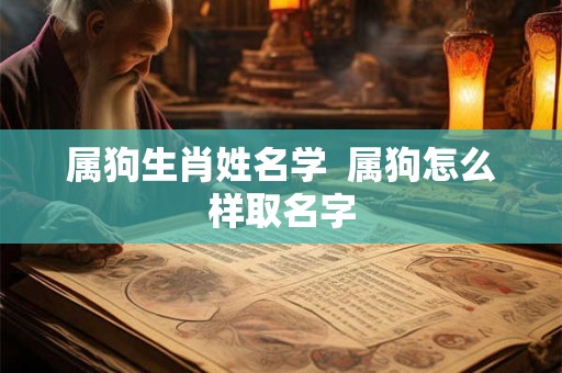 属狗生肖姓名学 属狗怎么样取名字 属狗生肖姓名学 属狗怎么样取名字