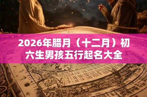 2026年腊月（十二月）初六生男孩五行起名大全