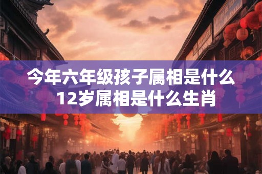 今年六年级孩子属相是什么  12岁属相是什么生肖
