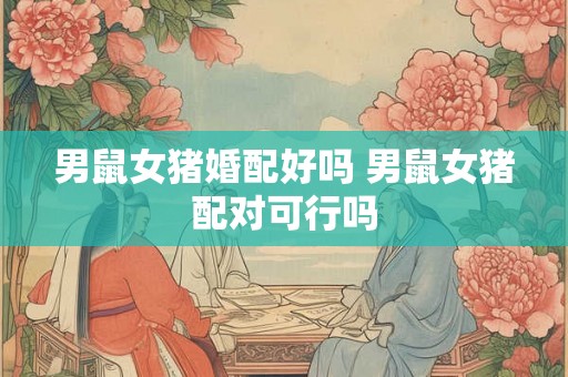 男鼠女猪婚配好吗 男鼠女猪配对可行吗 男鼠女猪婚配好吗 男鼠女猪配对可行吗