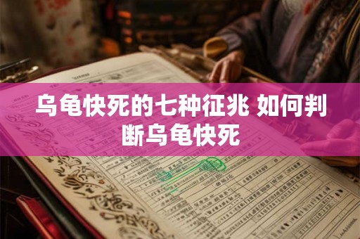 乌龟快死的七种征兆 如何判断乌龟快死