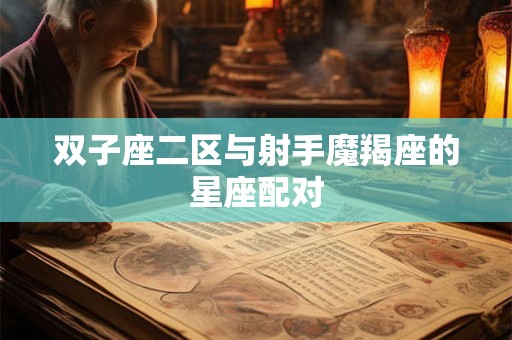 双子座二区与射手魔羯座的星座配对 双子座二区与射手魔羯座的星座配对