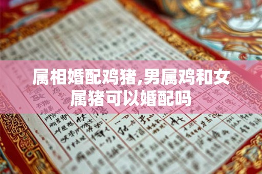 属相婚配鸡猪,男属鸡和女属猪可以婚配吗